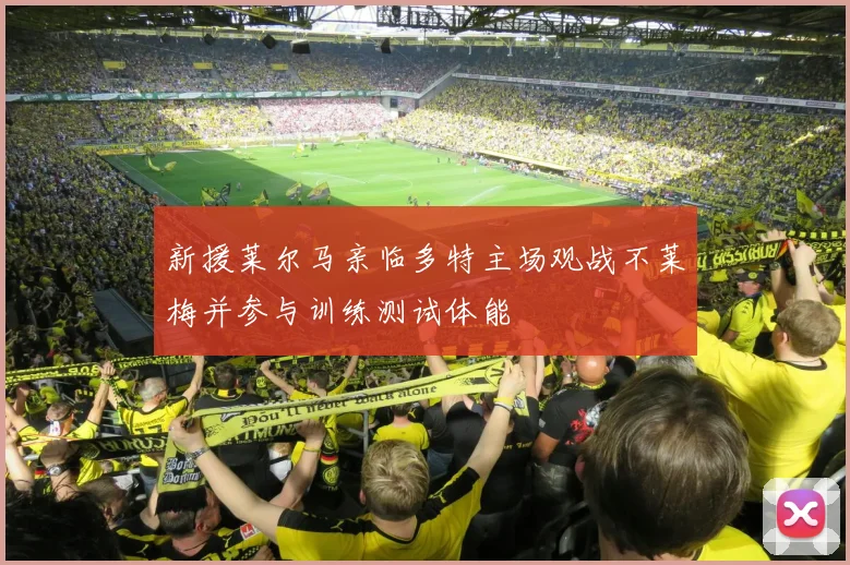 新援莱尔马亲临多特主场观战不莱梅并参与训练测试体能