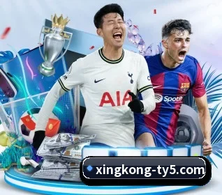 星空体育 APP(xingkong.com)