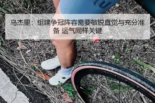 乌杰里：组建争冠阵容需要敏锐直觉与充分准备 运气同样关键 - xingkong.com